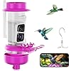 Soliom Hummingbird Feeder with Camera, Smart Feeder Camera with 2K Live View AI Identify, Leak Proof&Ant Moat&Bee Proof, Outdoor Pole/Hook Hanging, Ideal Gift for Family, 16 OZ Pink - Image 2