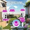 Soliom Hummingbird Feeder with Camera, Smart Feeder Camera with 2K Live View AI Identify, Leak Proof&Ant Moat&Bee Proof, Outdoor Pole/Hook Hanging, Ideal Gift for Family, 16 OZ Pink - Image 5