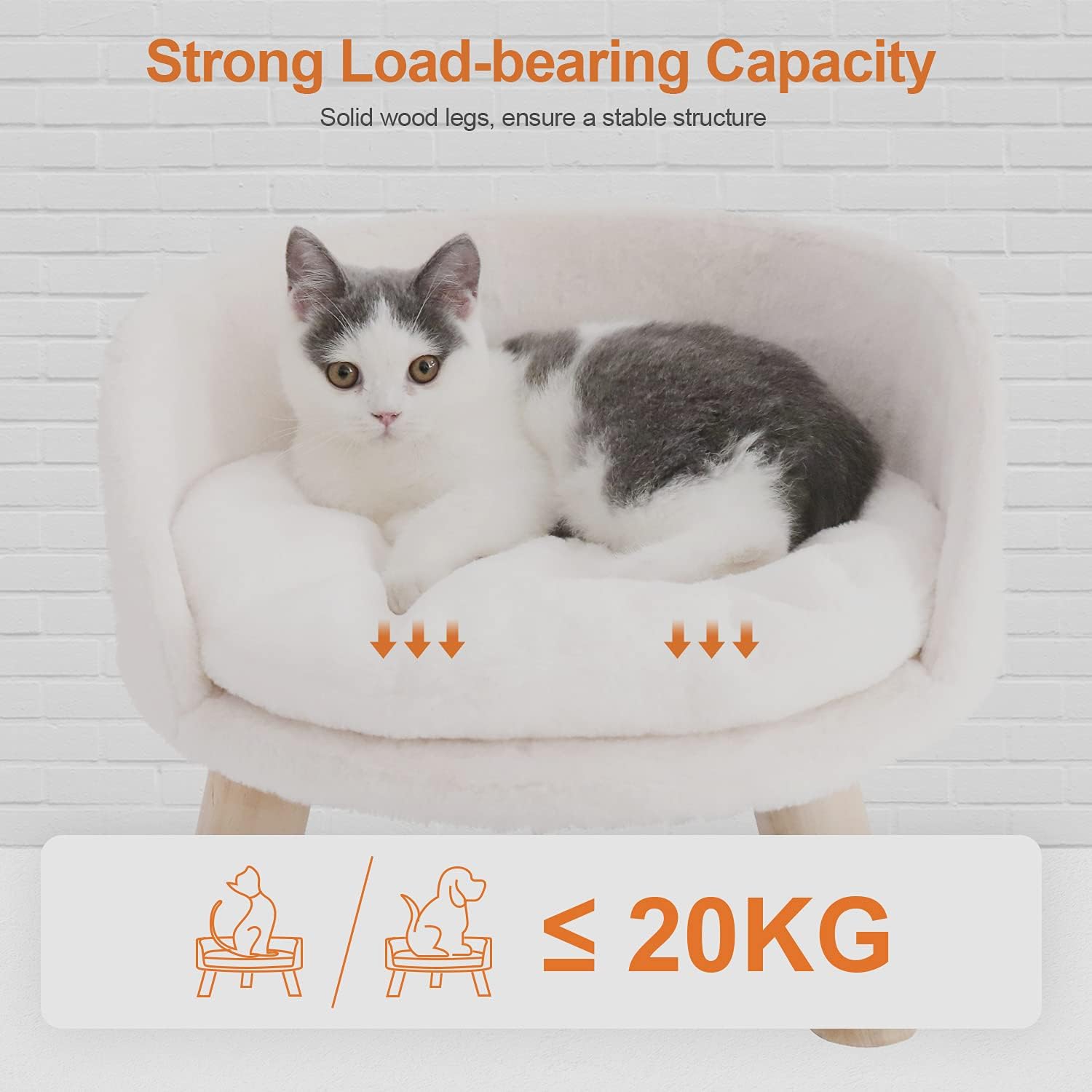 Elevated Dog Bed: Cat Bed for Indoor Cats with Cozy Pad Waterproof - Nordic Cat Stool Chair with Sturdy Wood Legs Anti Slip for Puppy Kitten - Image 9