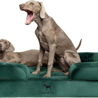 NOAH & PAW Giant Dog Bed XXL, 55x45x11 Inch, Orthopedic Dog Beds, Eggshell Memory Foam Infused with Cooling Gel, Inner Cover, Waterproof, Machine Washable (Velvet Sofa Collection)