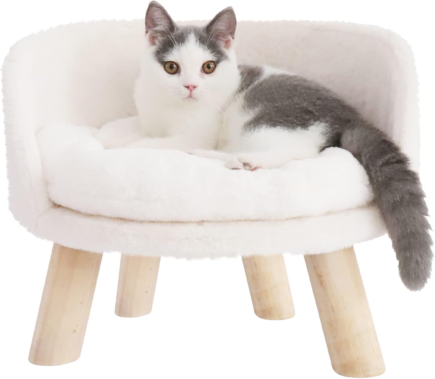 Elevated Dog Bed: Cat Bed for Indoor Cats with Cozy Pad Waterproof - Nordic Cat Stool Chair with Sturdy Wood Legs Anti Slip for Puppy Kitten