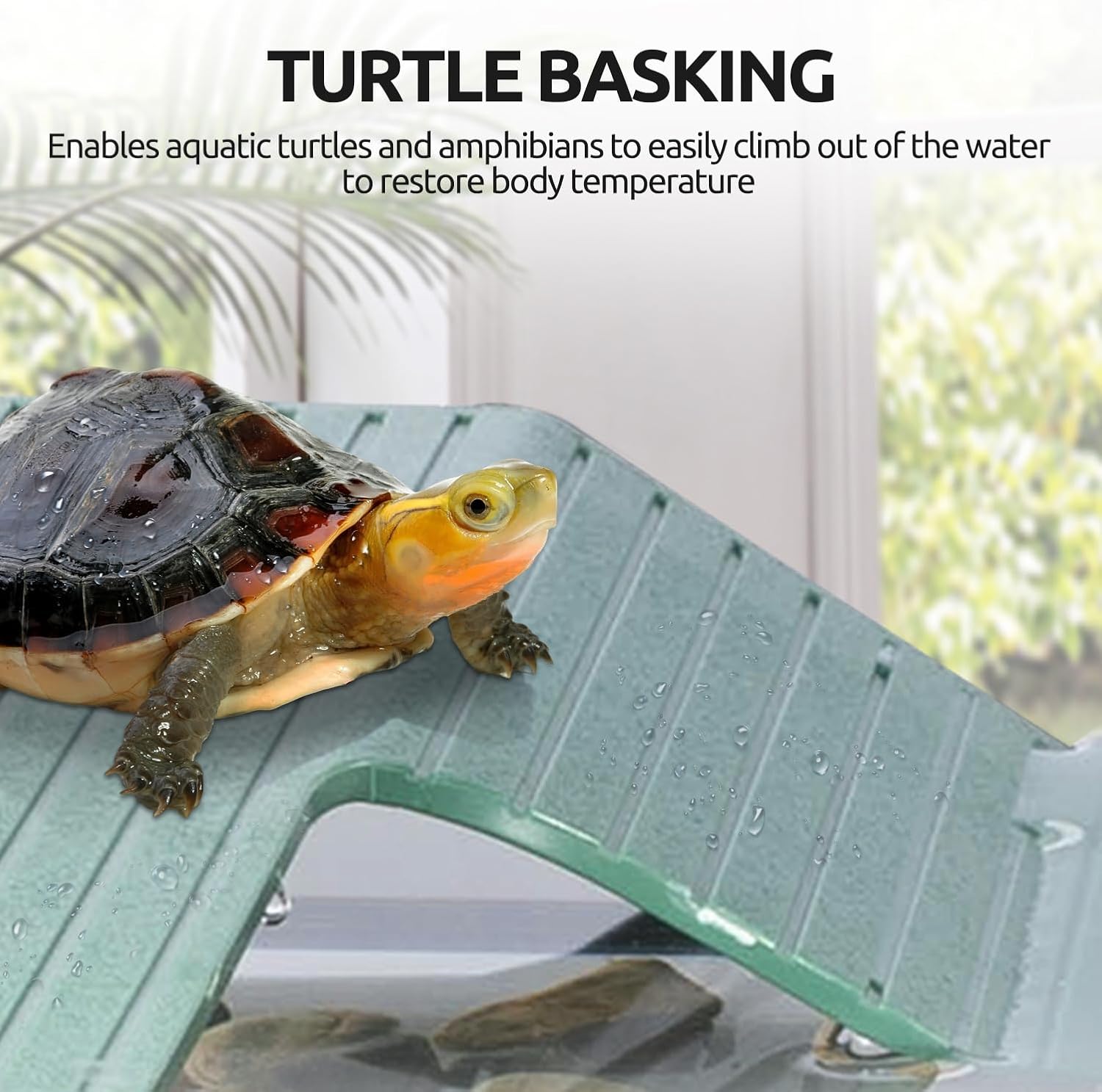 50 Gallon Glass Turtle Tank, 36"×18"×18" Tortoise Habitat, Large Turtle Aquatic Aquarium Kit with Drainage System, Turtle Terrarium for Tree Frogs, Salamanders - Image 5