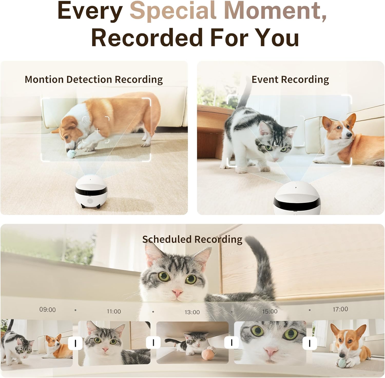 Enabot EBO ROLA Mini FamilyBot 2K Pet Camera Robot: Movable Indoor Camera Battery-Powered with Phone App, One-Touch Call, 2-Way Talk, Night Vision, Motion Detection, Video Recording - Image 8